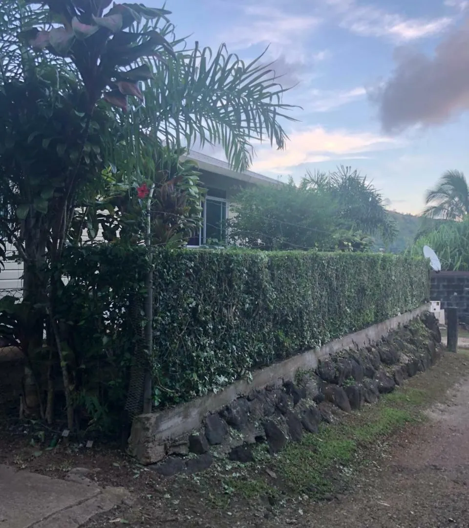 Chambre Ihi Tea Bora Bora